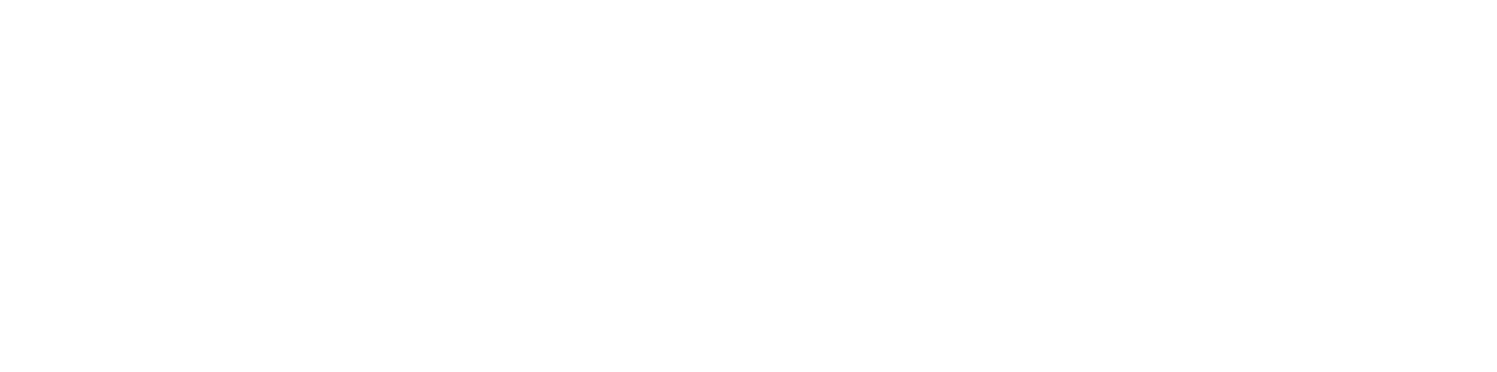 Emporva logo